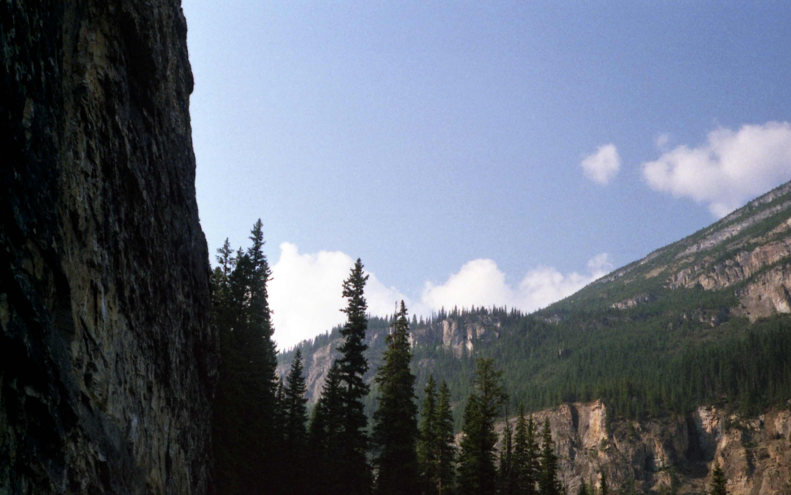 photo of a mountain and some trees